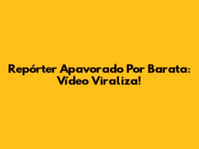 Repórter Apavorado Por Barata: Vídeo Viraliza!