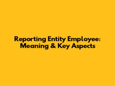 Reporting Entity Employee: Meaning & Key Aspects