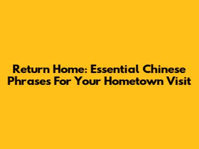 Return Home: Essential Chinese Phrases For Your Hometown Visit