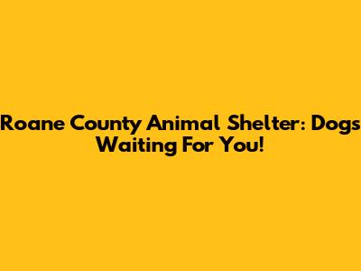 Roane County Animal Shelter: Dogs Waiting For You!