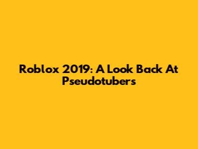 Roblox 2019: A Look Back At Pseudotubers