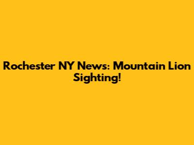 Rochester NY News: Mountain Lion Sighting!