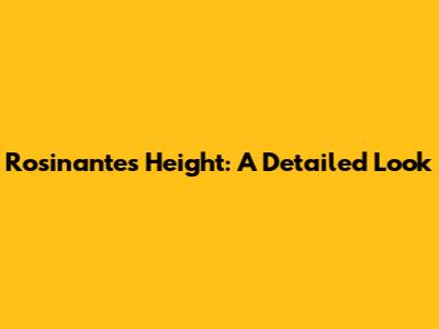 Rosinante's Height: A Detailed Look