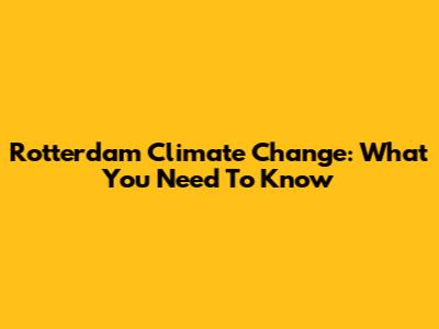 Rotterdam Climate Change: What You Need To Know