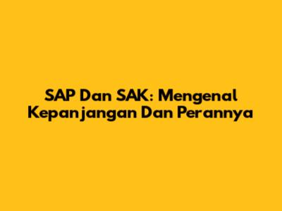 SAP Dan SAK: Mengenal Kepanjangan Dan Perannya