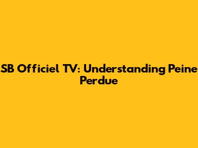 SB Officiel TV: Understanding 'Peine Perdue'