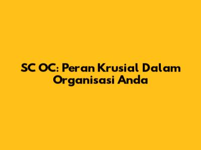 SC OC: Peran Krusial Dalam Organisasi Anda