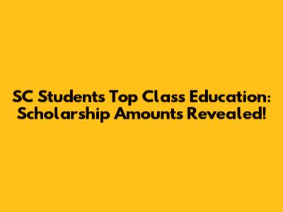 SC Students Top Class Education: Scholarship Amounts Revealed!