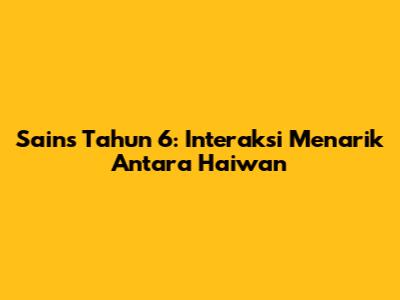 Sains Tahun 6: Interaksi Menarik Antara Haiwan