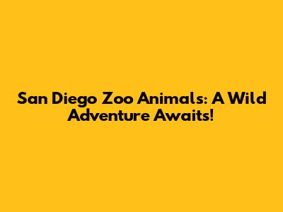 San Diego Zoo Animals: A Wild Adventure Awaits!