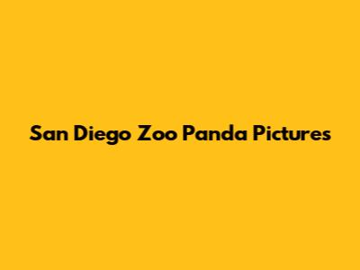 San Diego Zoo Panda Pictures