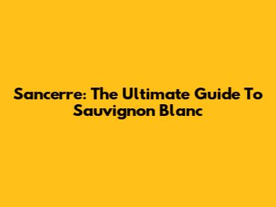 Sancerre: The Ultimate Guide To Sauvignon Blanc