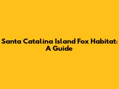 Santa Catalina Island Fox Habitat: A Guide
