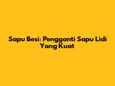 Sapu Besi: Pengganti Sapu Lidi Yang Kuat