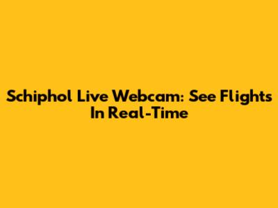 Schiphol Live Webcam: See Flights In Real-Time