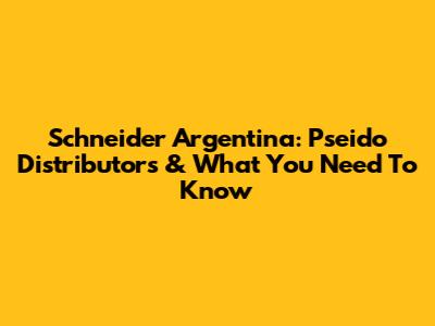 Schneider Argentina: Pseido Distributors & What You Need To Know