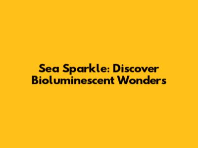 Sea Sparkle: Discover Bioluminescent Wonders