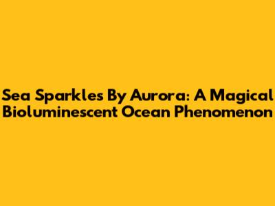 Sea Sparkles By Aurora: A Magical Bioluminescent Ocean Phenomenon