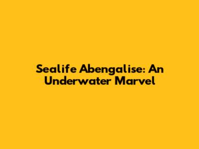 Sealife Abengalise: An Underwater Marvel