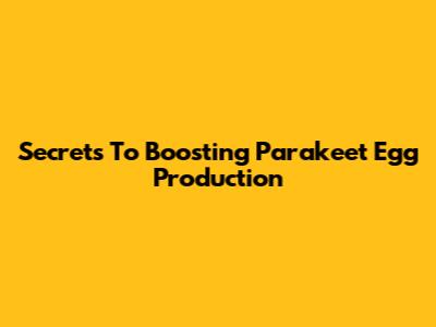 Secrets To Boosting Parakeet Egg Production