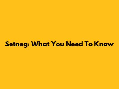 Setneg: What You Need To Know