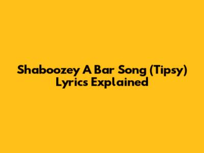 Shaboozey "A Bar Song (Tipsy)" Lyrics Explained