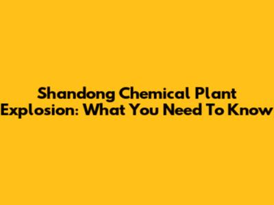 Shandong Chemical Plant Explosion: What You Need To Know