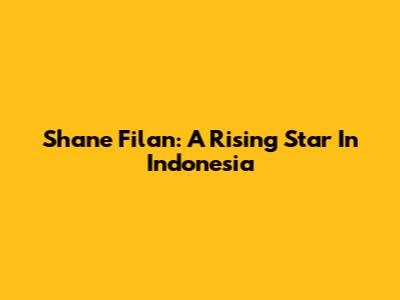 Shane Filan: A Rising Star In Indonesia