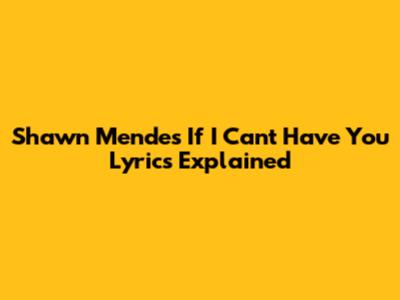 Shawn Mendes 'If I Can't Have You' Lyrics Explained