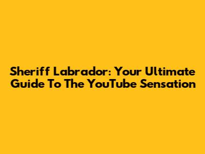 Sheriff Labrador: Your Ultimate Guide To The YouTube Sensation
