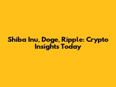 Shiba Inu, Doge, Ripple: Crypto Insights Today
