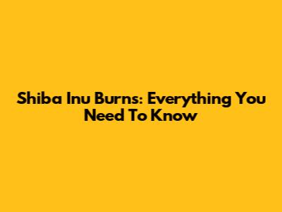 Shiba Inu Burns: Everything You Need To Know