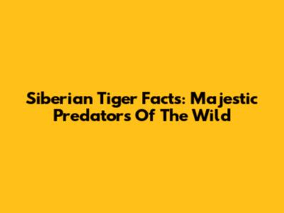 Siberian Tiger Facts: Majestic Predators Of The Wild