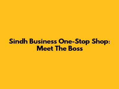 Sindh Business One-Stop Shop: Meet The Boss