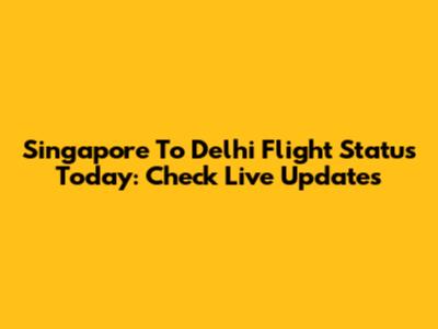 Singapore To Delhi Flight Status Today: Check Live Updates