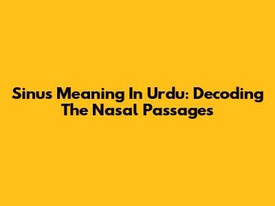 Sinus Meaning In Urdu: Decoding The Nasal Passages