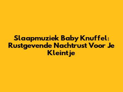 Slaapmuziek Baby Knuffel: Rustgevende Nachtrust Voor Je Kleintje