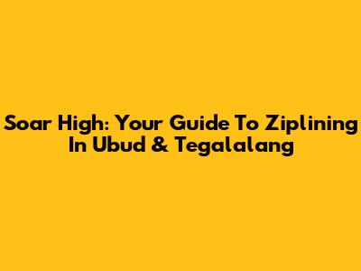 Soar High: Your Guide To Ziplining In Ubud & Tegalalang