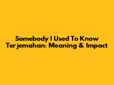 Somebody I Used To Know Terjemahan: Meaning & Impact