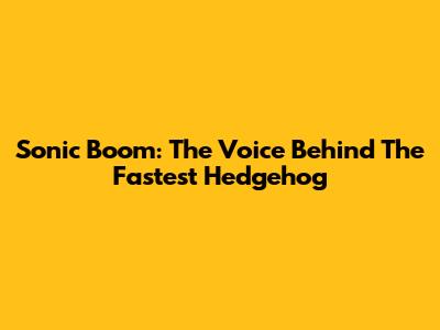 Sonic Boom: The Voice Behind The Fastest Hedgehog