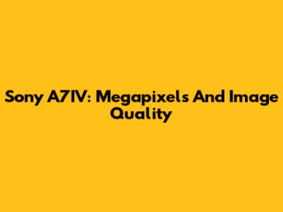 Sony A7IV: Megapixels And Image Quality