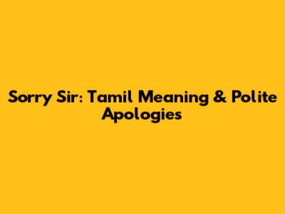 Sorry Sir: Tamil Meaning & Polite Apologies