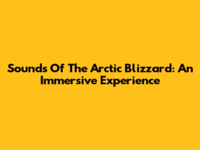 Sounds Of The Arctic Blizzard: An Immersive Experience