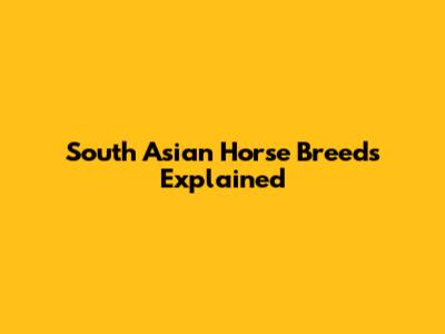 South Asian Horse Breeds Explained
