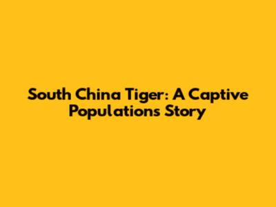 South China Tiger: A Captive Population's Story