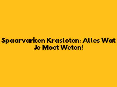 Spaarvarken Krasloten: Alles Wat Je Moet Weten!