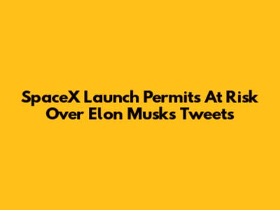 SpaceX Launch Permits At Risk Over Elon Musk's Tweets