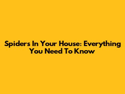 Spiders In Your House: Everything You Need To Know