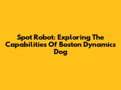 Spot Robot: Exploring The Capabilities Of Boston Dynamics' Dog