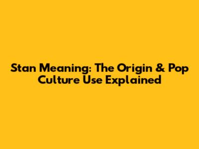 Stan Meaning: The Origin & Pop Culture Use Explained